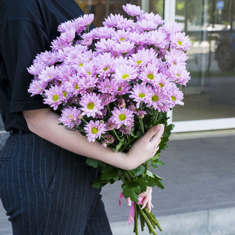 Цветы хризантемы букеты