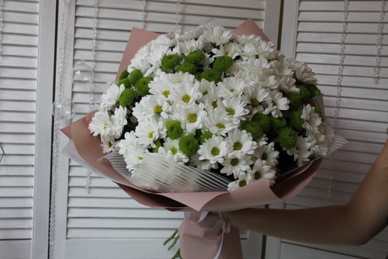 Хризантемы шаровидные букет