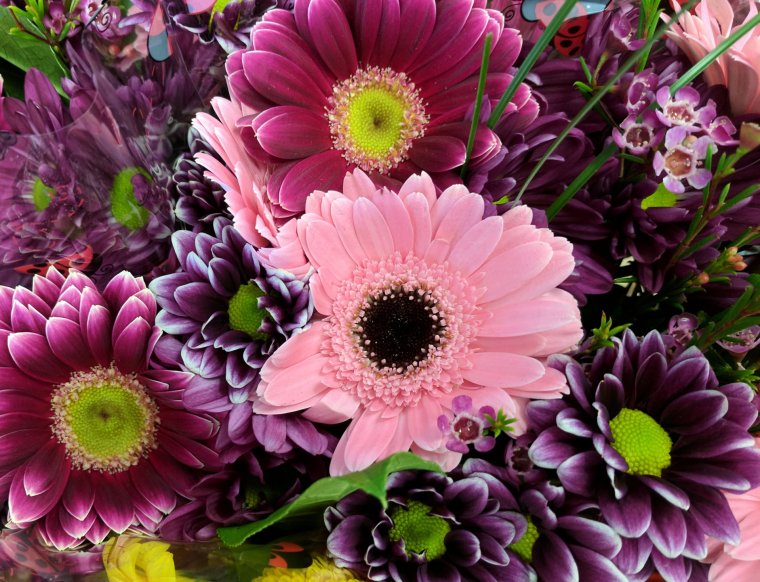 Огромные букеты из живых цветов