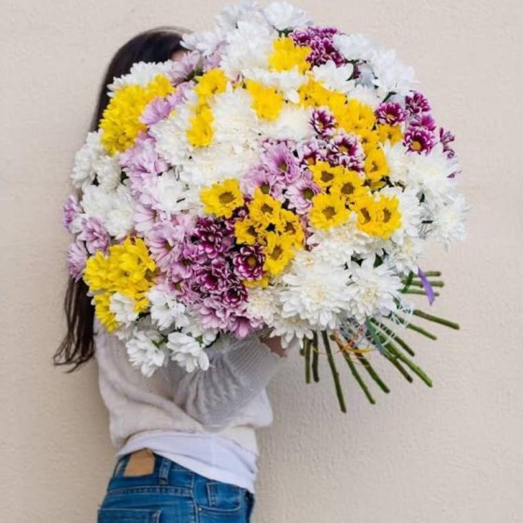 Хризантема кустовая цветная