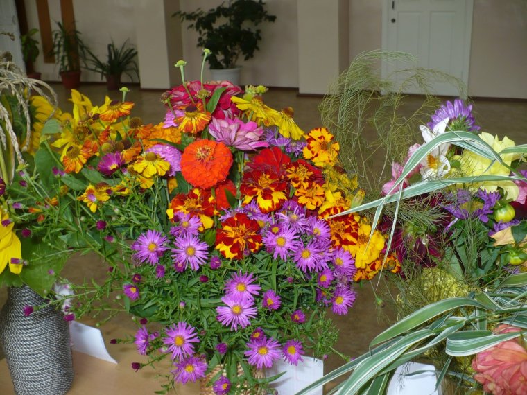 Букеты на выставку цветов в школе