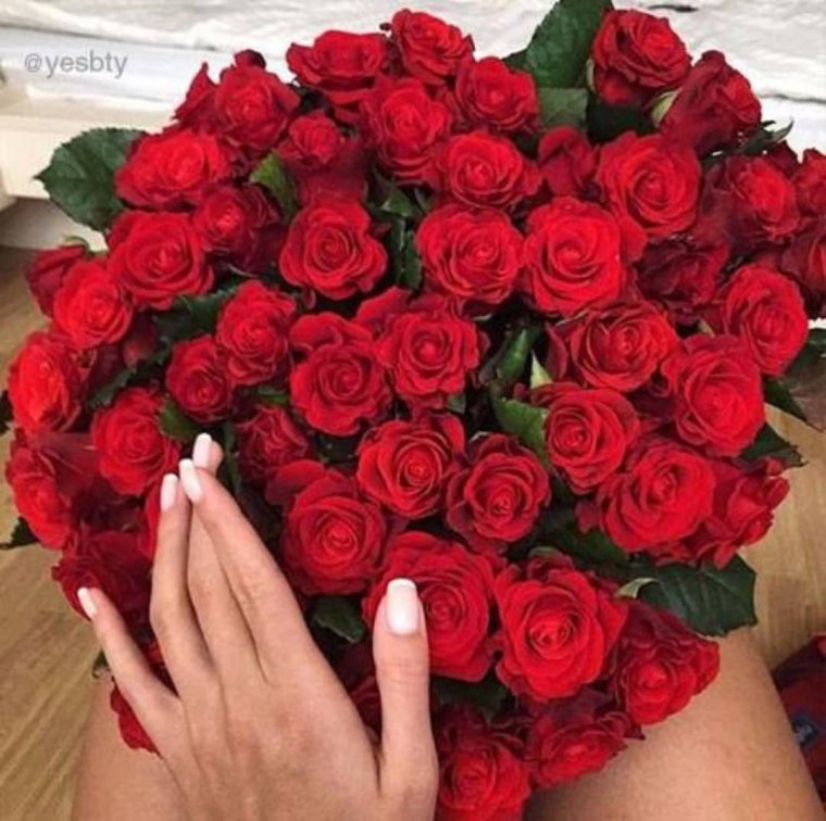 Девушка с розой в руках