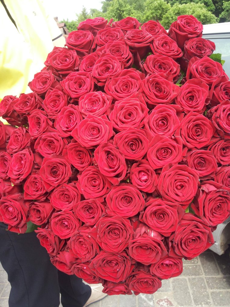 Большой букет роз в руках