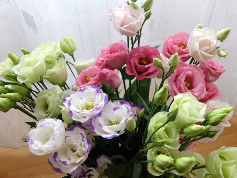 Розы и эустома