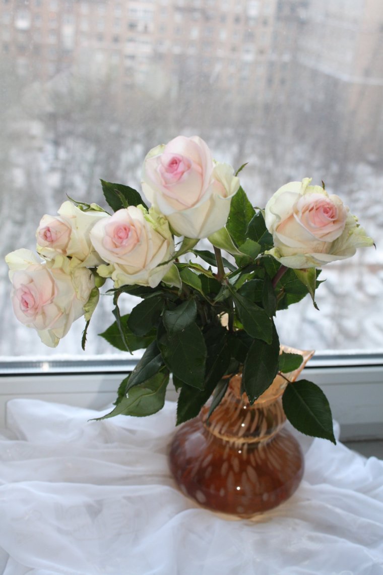 Розы в вазе