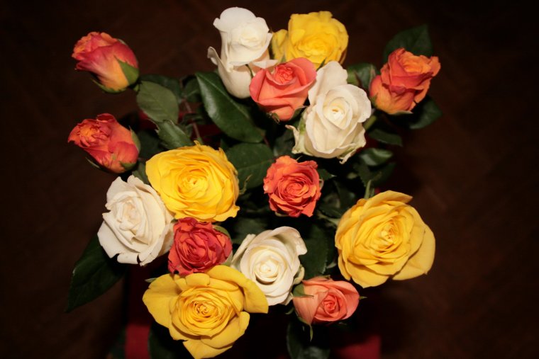 Розы разного цвета в одном букете