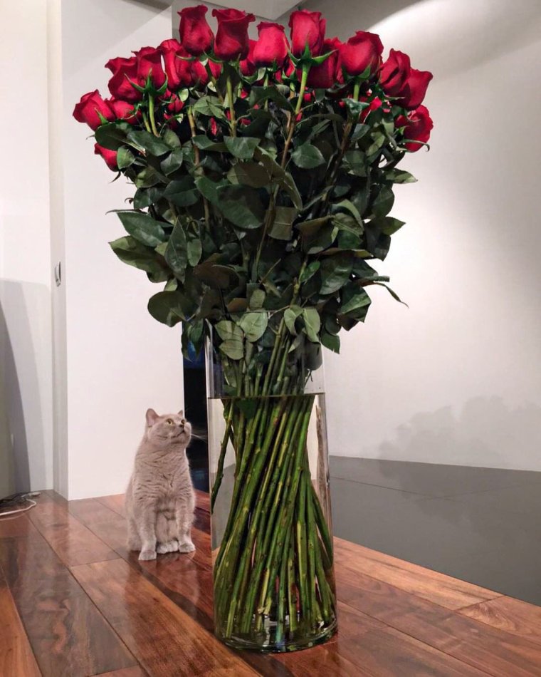 Эквадорские розы 150 см