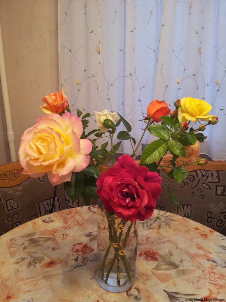 Розы в вазе дома