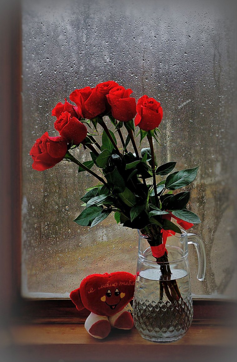 Цветы на окне