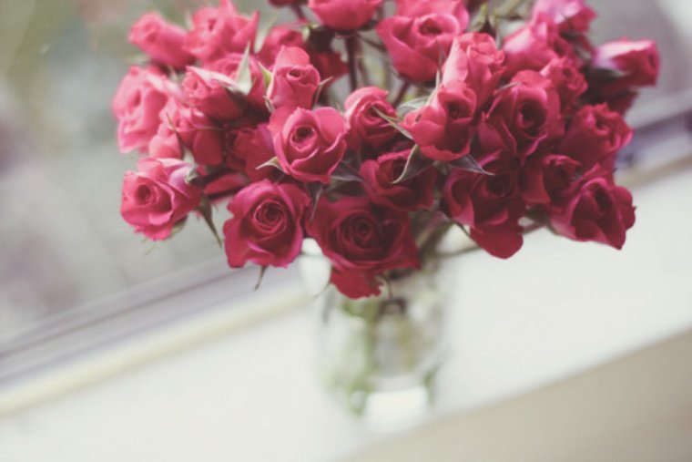 Розовые розы в вазе дома
