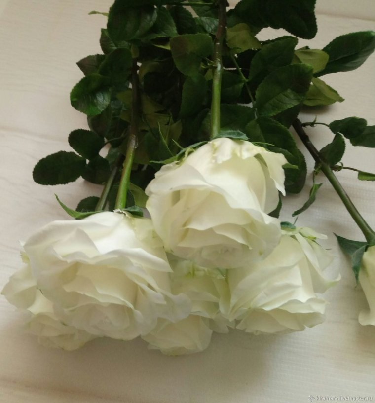 Пионы у окна