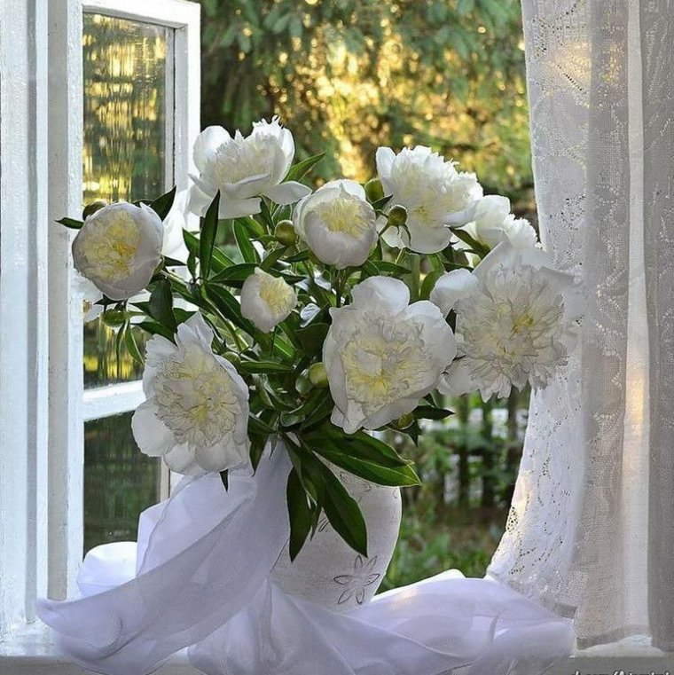 Нежный цветок