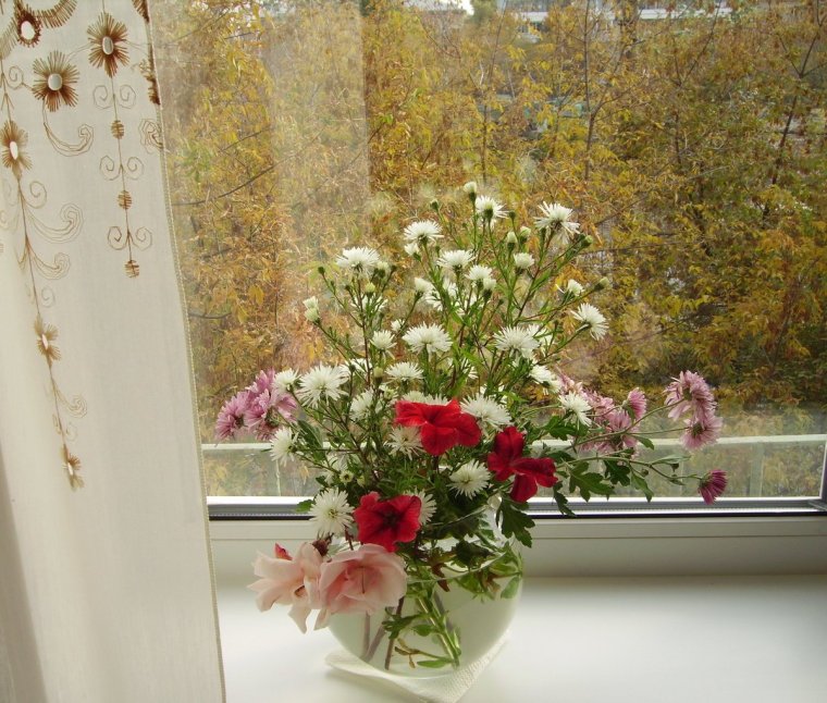 Белые розы в вазе дома