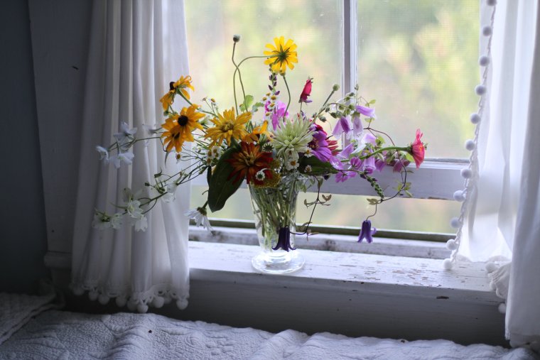 Розы на окне зимой