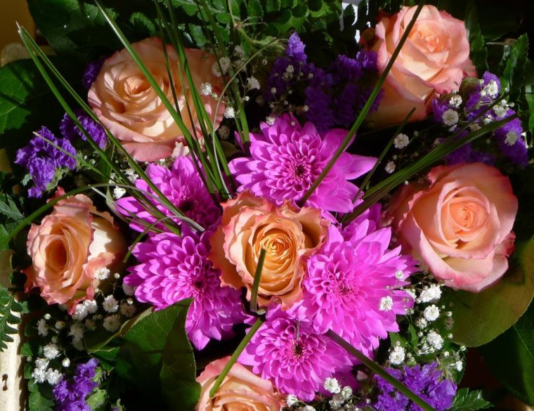 Цветы розы хризантемы