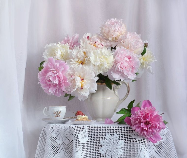 Зефирные пионы