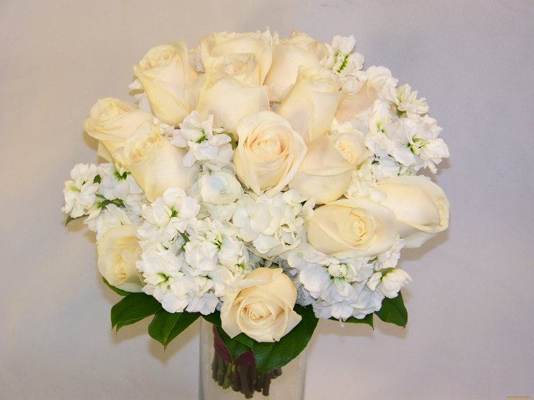 Белые цветы