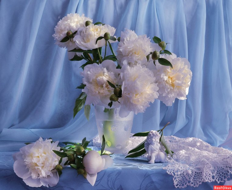 Нежный натюрморт