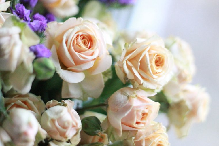 Красивый нежный букет