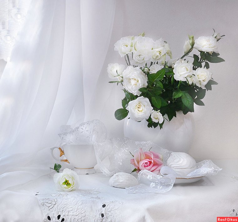 Нежные белые розы