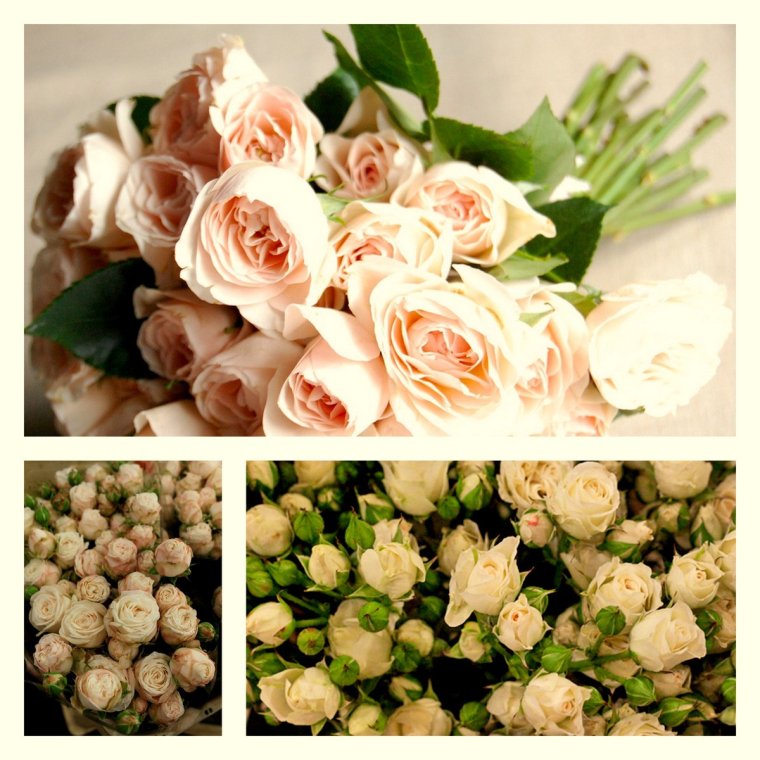 Букет нежных роз