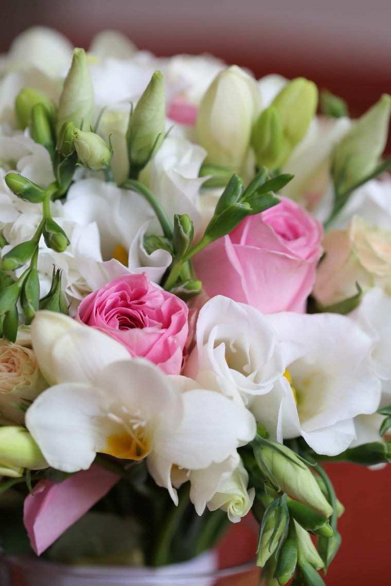 Нежные живые цветы