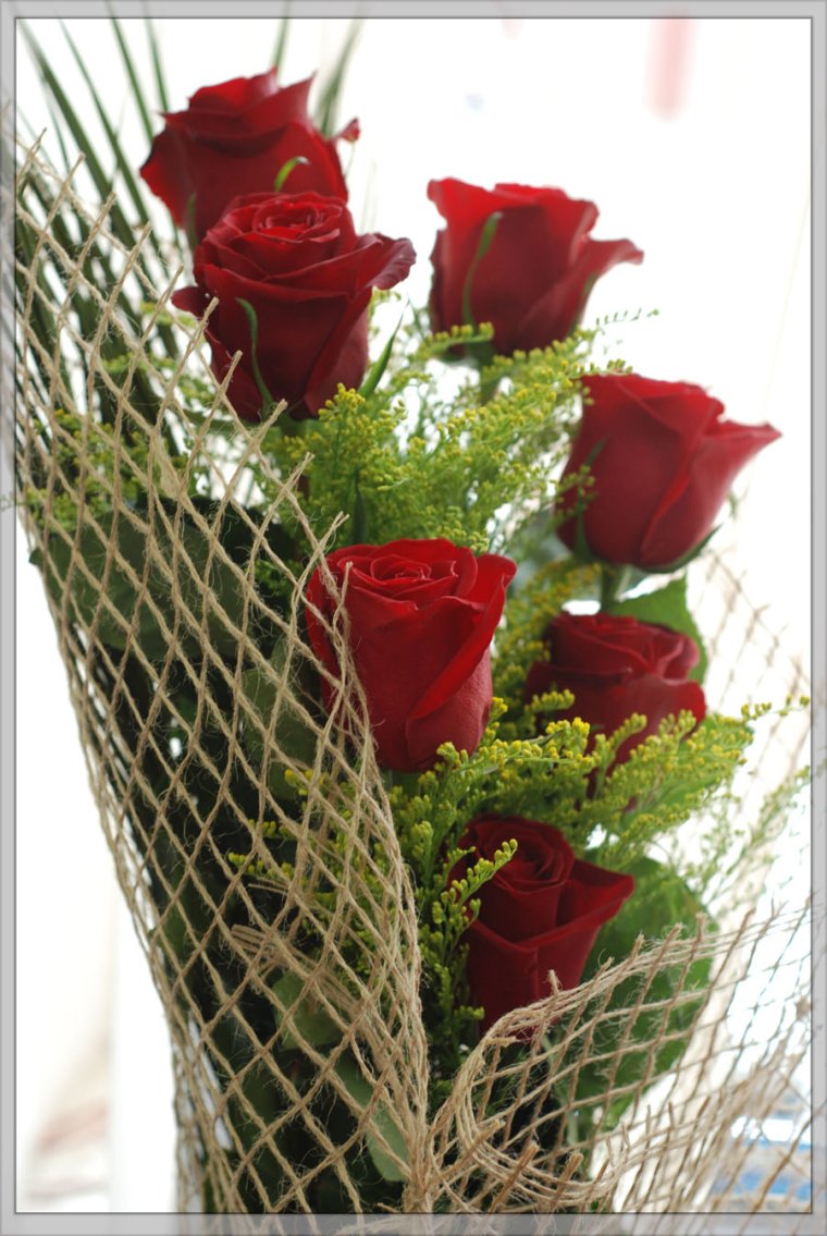 Розы с ресничками