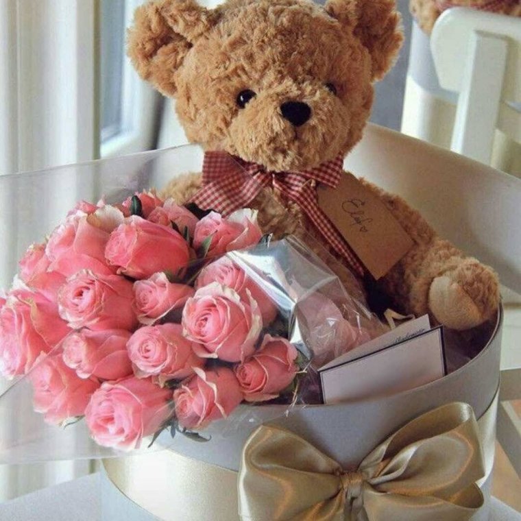 Мишка с розой в комнате