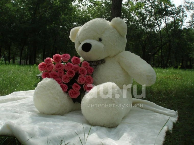 Медведь с розами