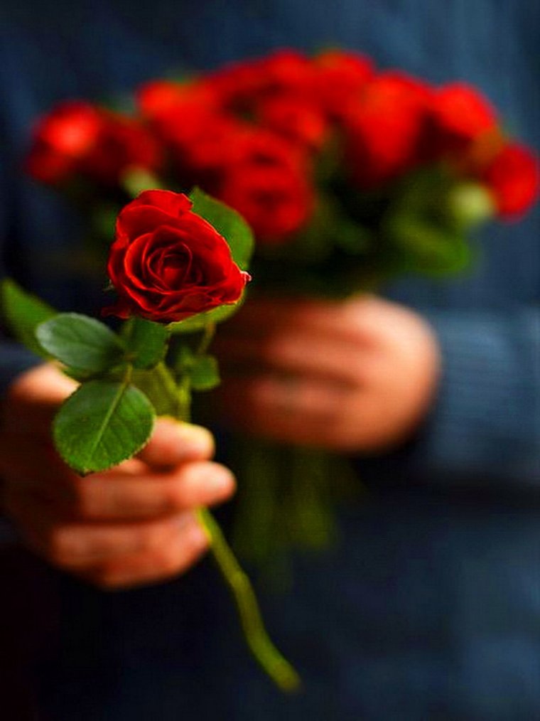 Красный цветок в руке