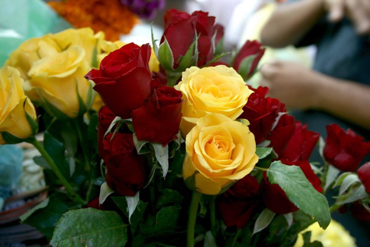 Букет роз в руках