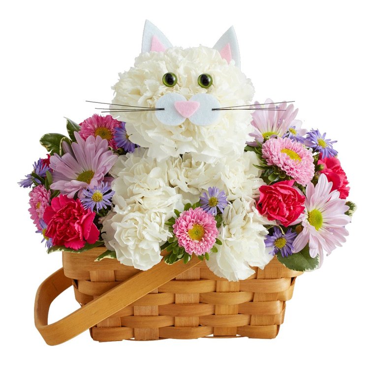 Кошка с букетом цветов