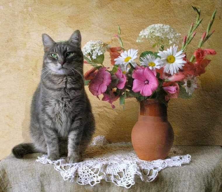 Котик с букетом