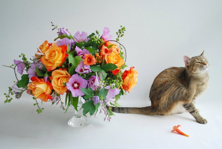 Букеты с животными