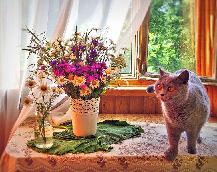 Кошка с букетом
