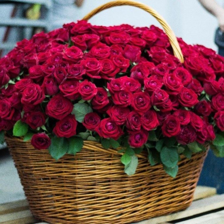Огромная корзина цветов