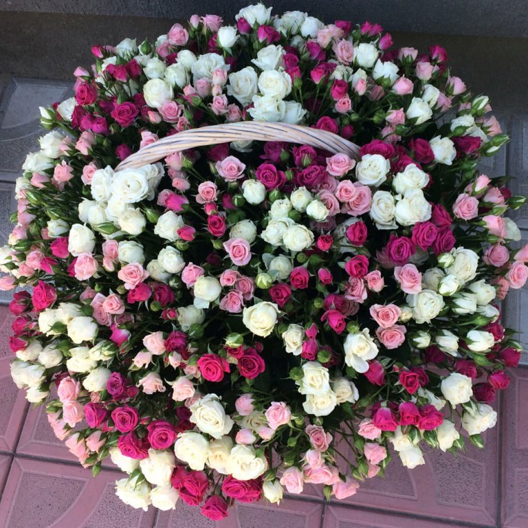 Огромная корзина цветов