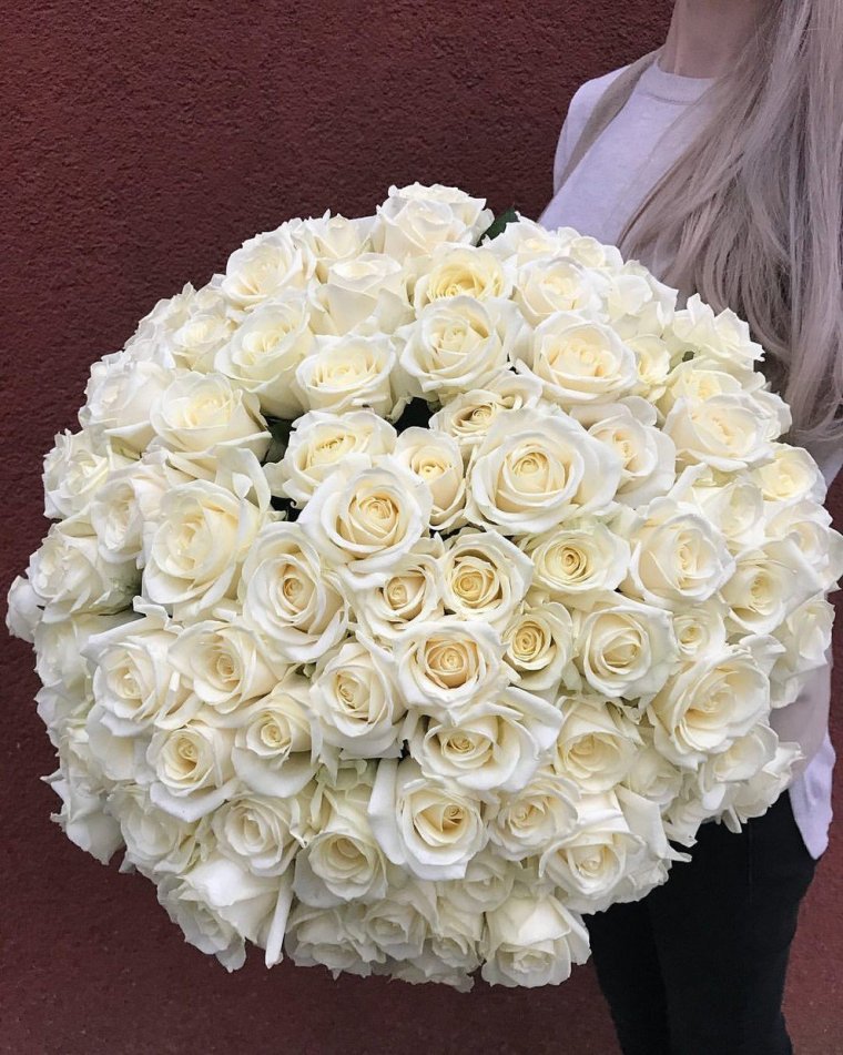 Роза Эквадор Мондиаль