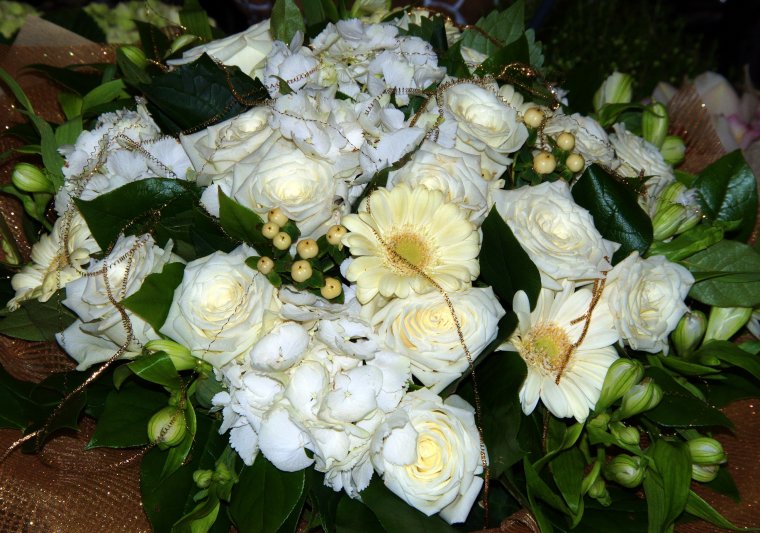 Роза кремовая