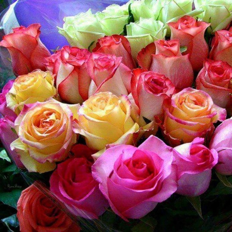 Шикарные букеты мерцающие