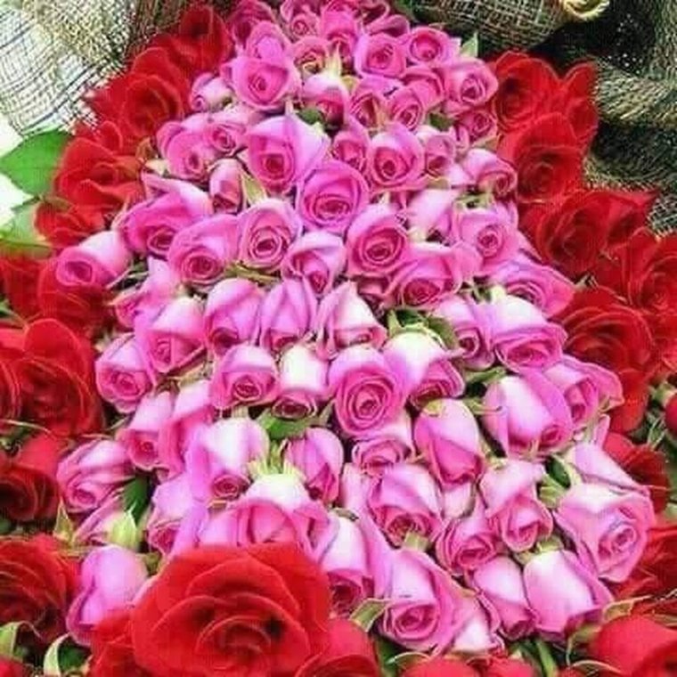 Цветы для роскошной женщины