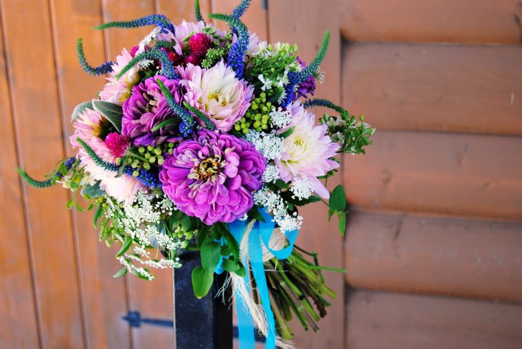 Букет из астр и циний на 1 сентября