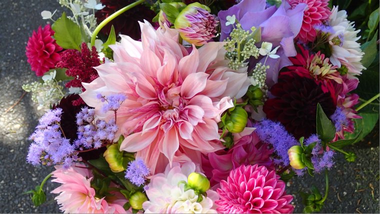 Букет цинний