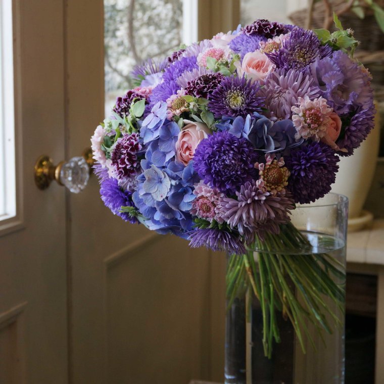 Астры на первое сентября