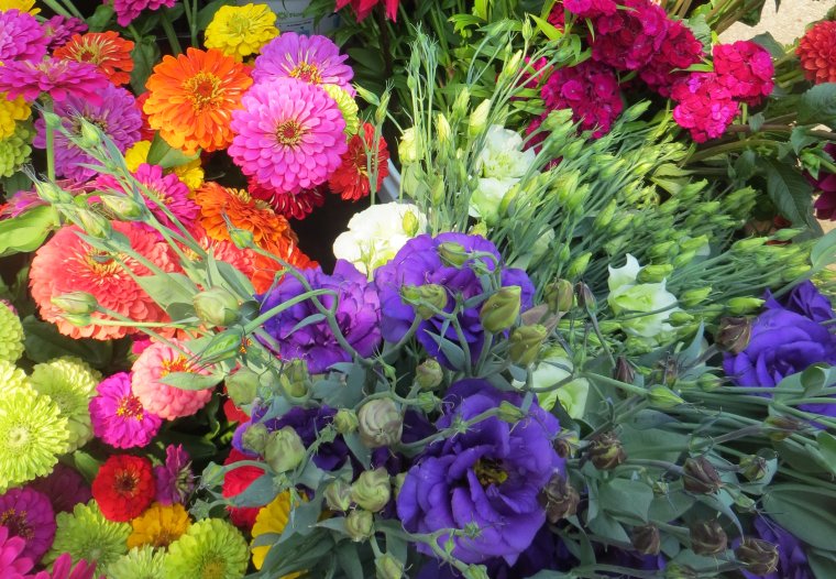 Красивый букет астр