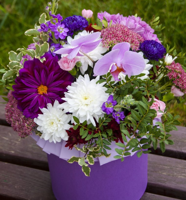 Георгины букетные