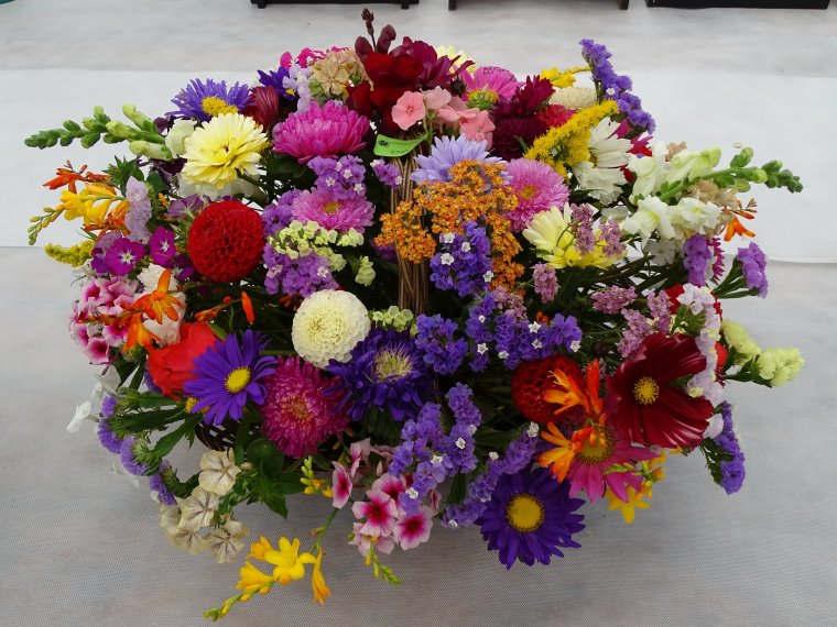 Цинния и герберы