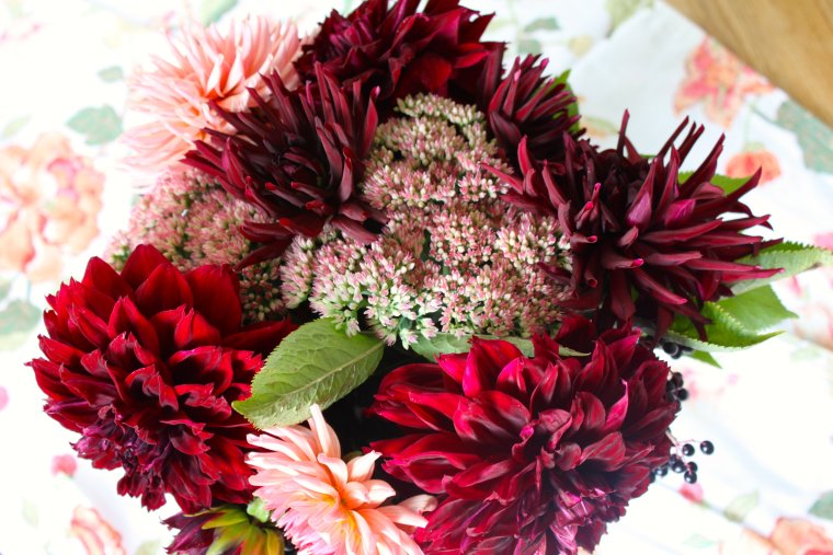 Мыльный корзинка циния