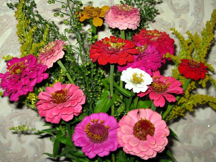 Монобукет георгины