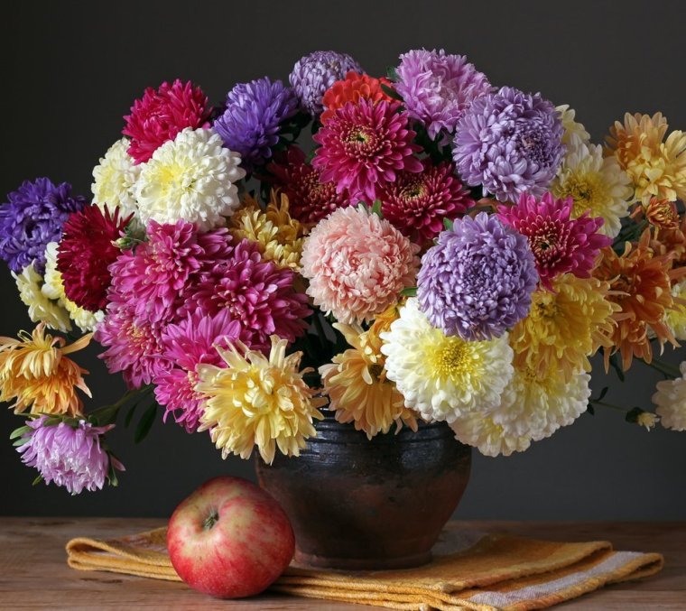 Цветы цинии букет